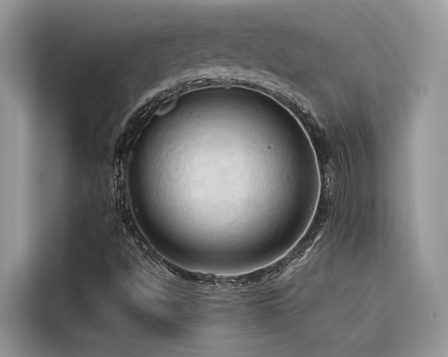 X0000116321494200912011102