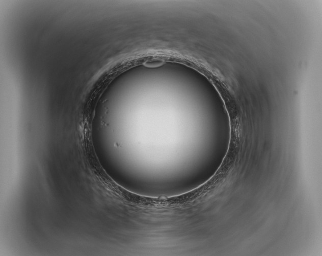 X0000116321495200912011102