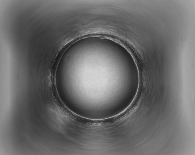 X0000116321497200912011102