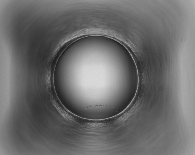 X0000116321499200912011102