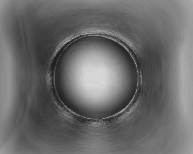 X0000116321501200912011102
