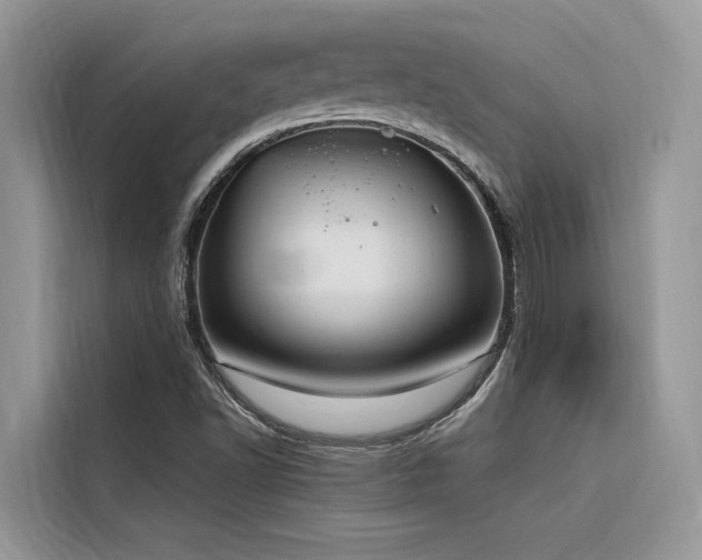 X0000116321502200912011102