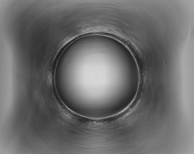 X0000116321505200912011102