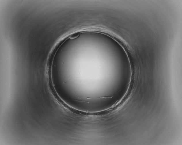 X0000116321506200912011102