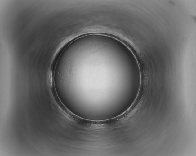 X0000116321509200912011102