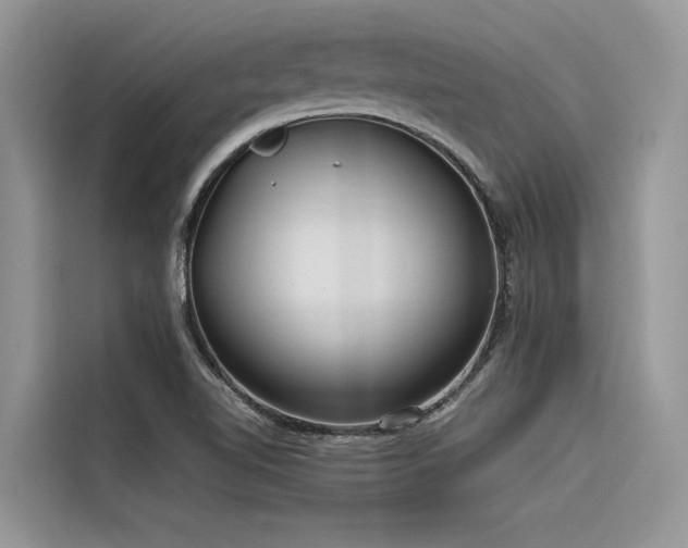 X0000116321510200912011102