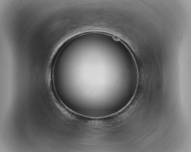 X0000116321511200912011102