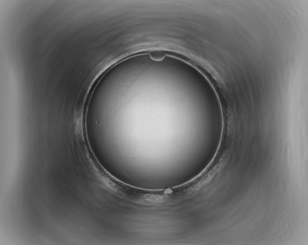 X0000116321513200912011102