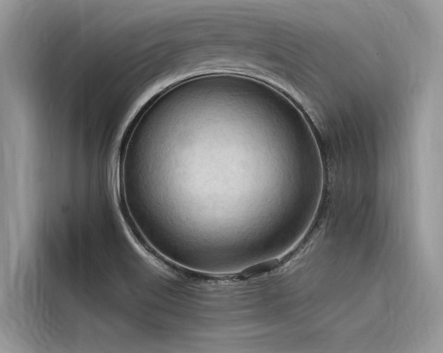X0000116321515200912011102