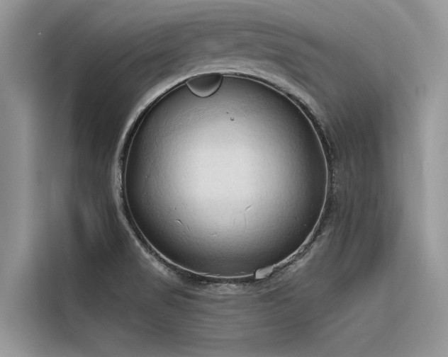 X0000116321517200912011102