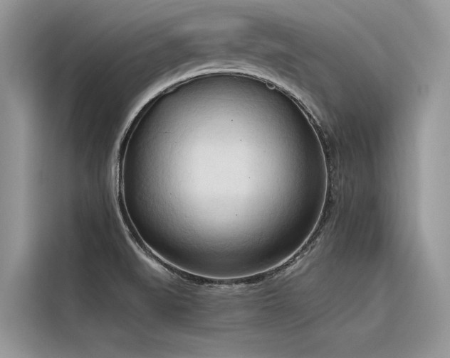 X0000116321519200912011102