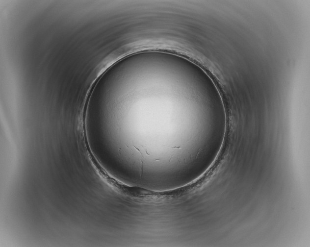 X0000116321521200912011102