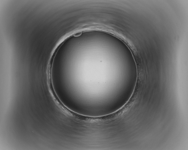 X0000116321522200912011102