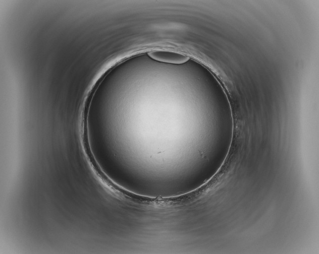 X0000116321523200912011102