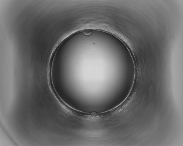 X0000116321525200912011102