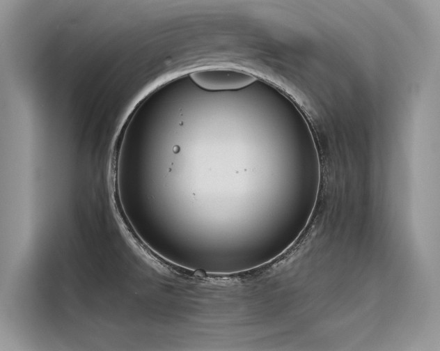 X0000116321526200912011102