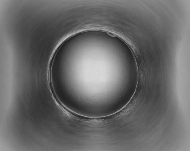 X0000116321527200912011102
