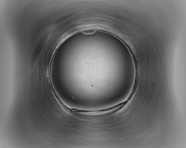 X0000116321529200912011102