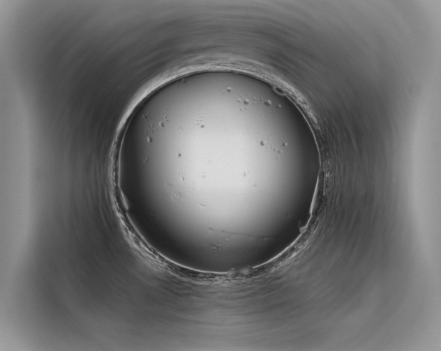 X0000116321530200912011102