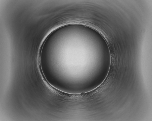 X0000116321531200912011102