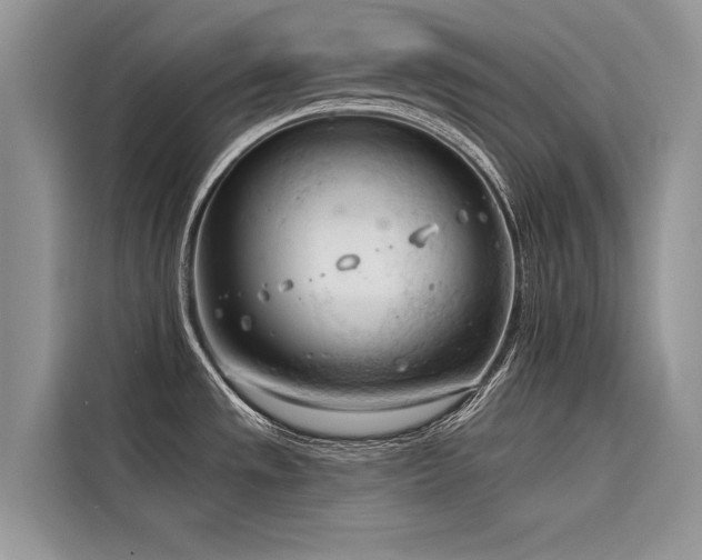 X0000116321533200912011102
