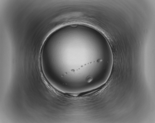X0000116321534200912011102