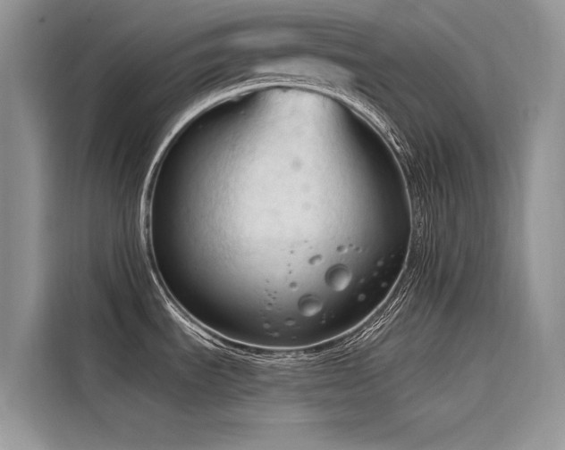 X0000116321535200912011102