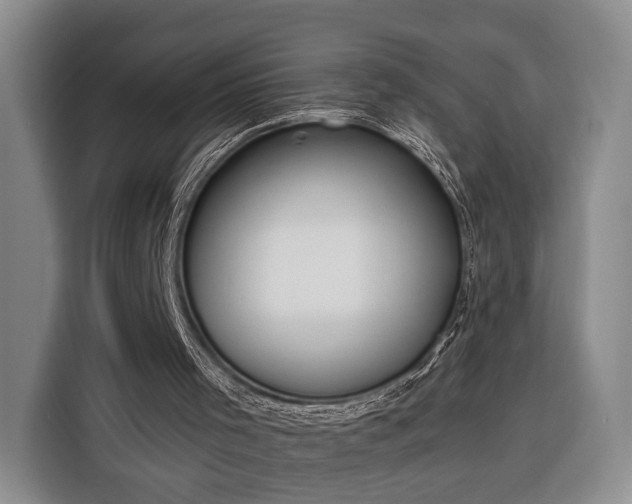 X0000116320001200912091028