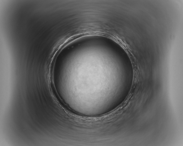 X0000116320002200912091028