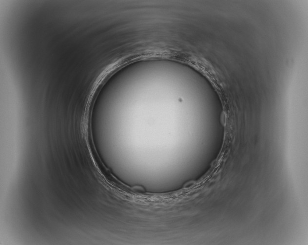 X0000116320003200912091028