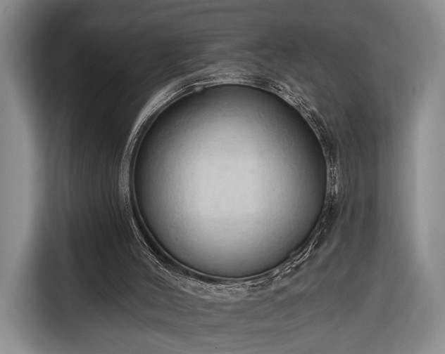 X0000116320004200912091028