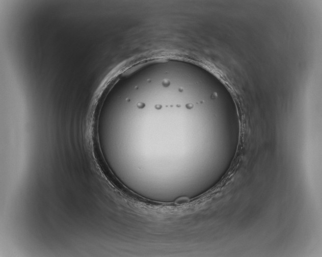 X0000116320007200912091028