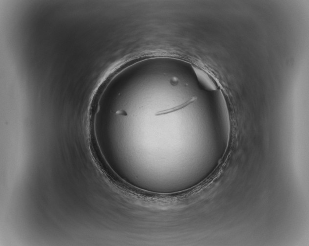 X0000116320008200912091028