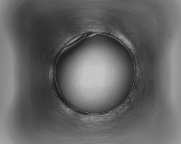 X0000116320009200912091028