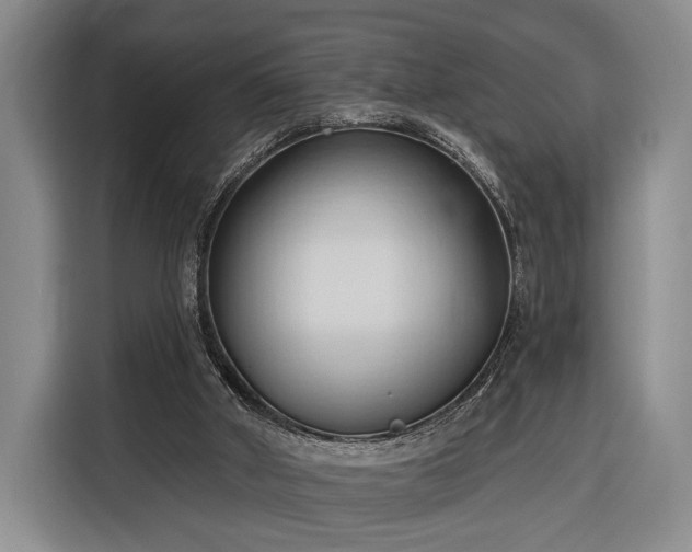 X0000116320010200912091028