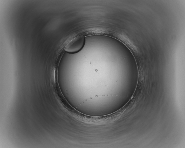 X0000116320014200912091028