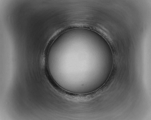 X0000116320016200912091028