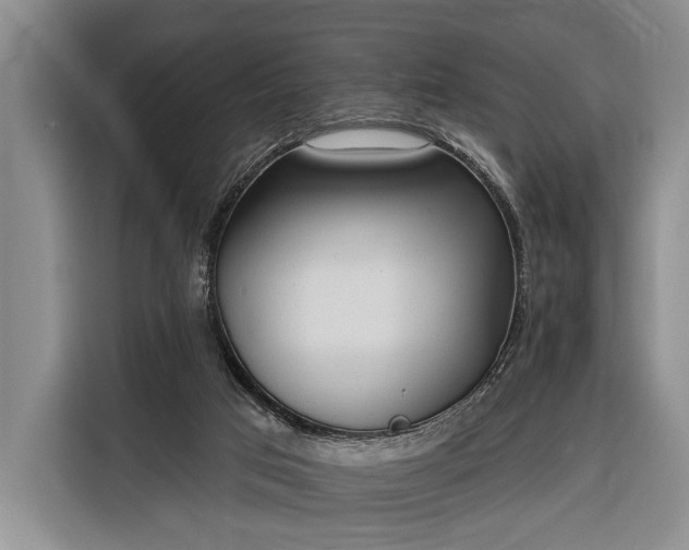 X0000116320017200912091028