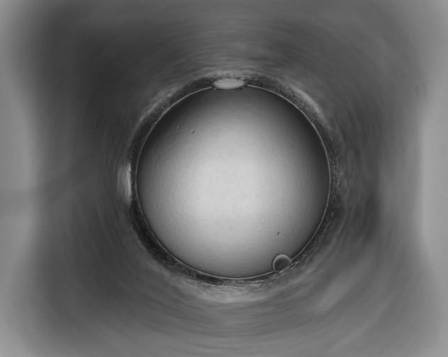 X0000116320020200912091028