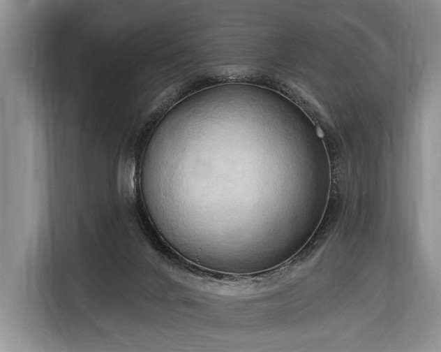 X0000116320024200912091028