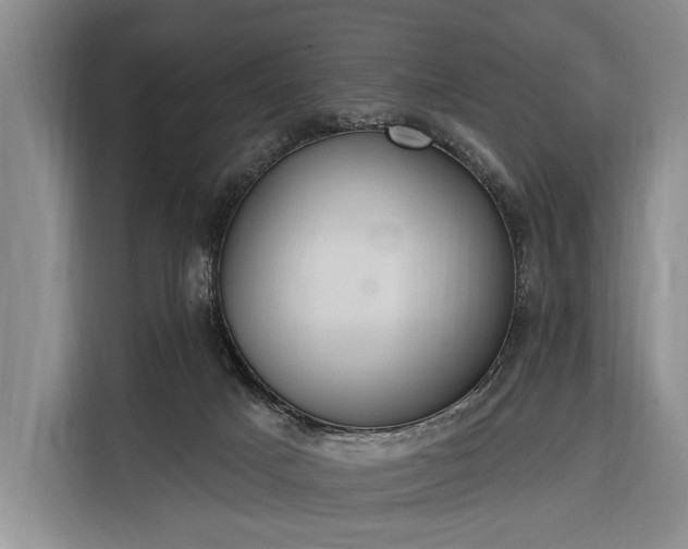 X0000116320025200912091028