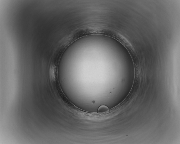 X0000116320026200912091028