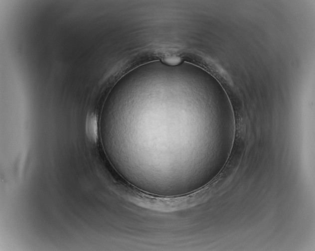 X0000116320027200912091028