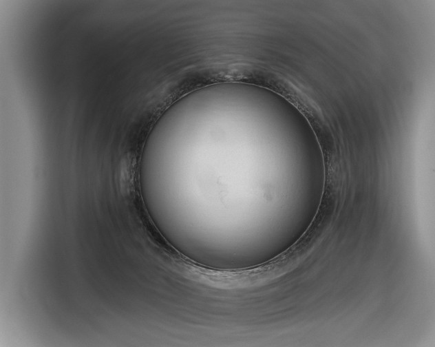 X0000116320030200912091028