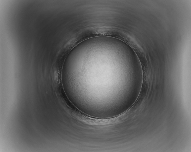 X0000116320031200912091028