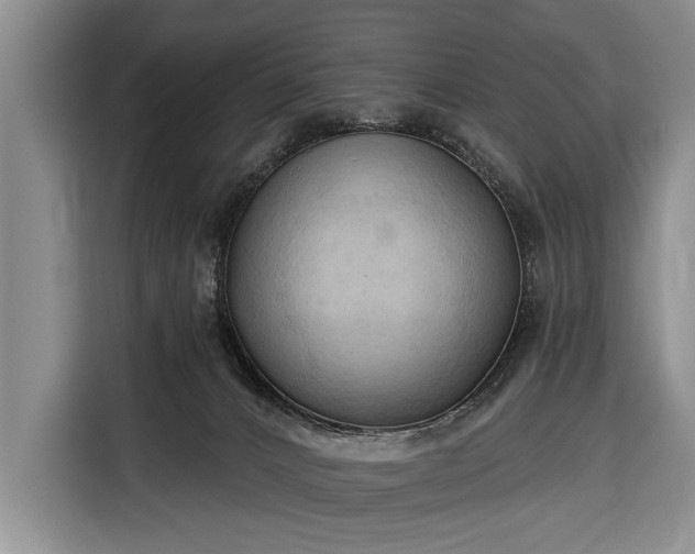 X0000116320032200912091028