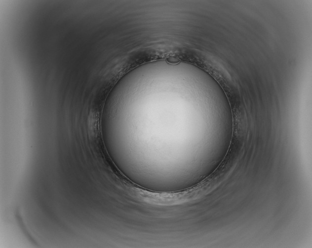 X0000116320034200912091028