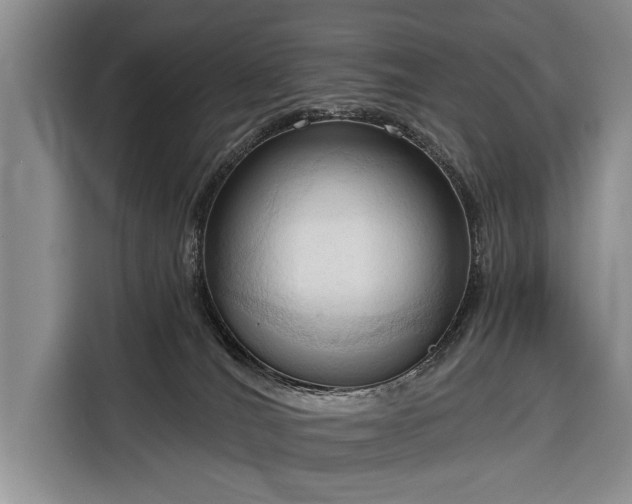 X0000116320036200912091028