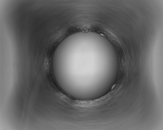 X0000116320037200912091028