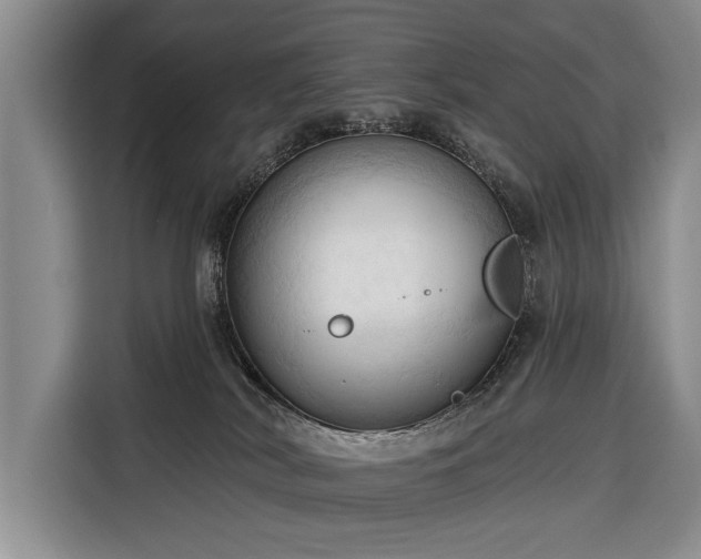 X0000116320038200912091028